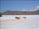 Dili